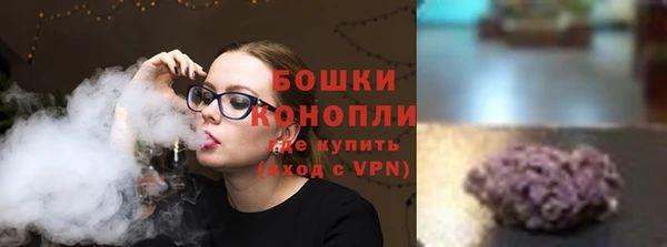 стаф Богородск